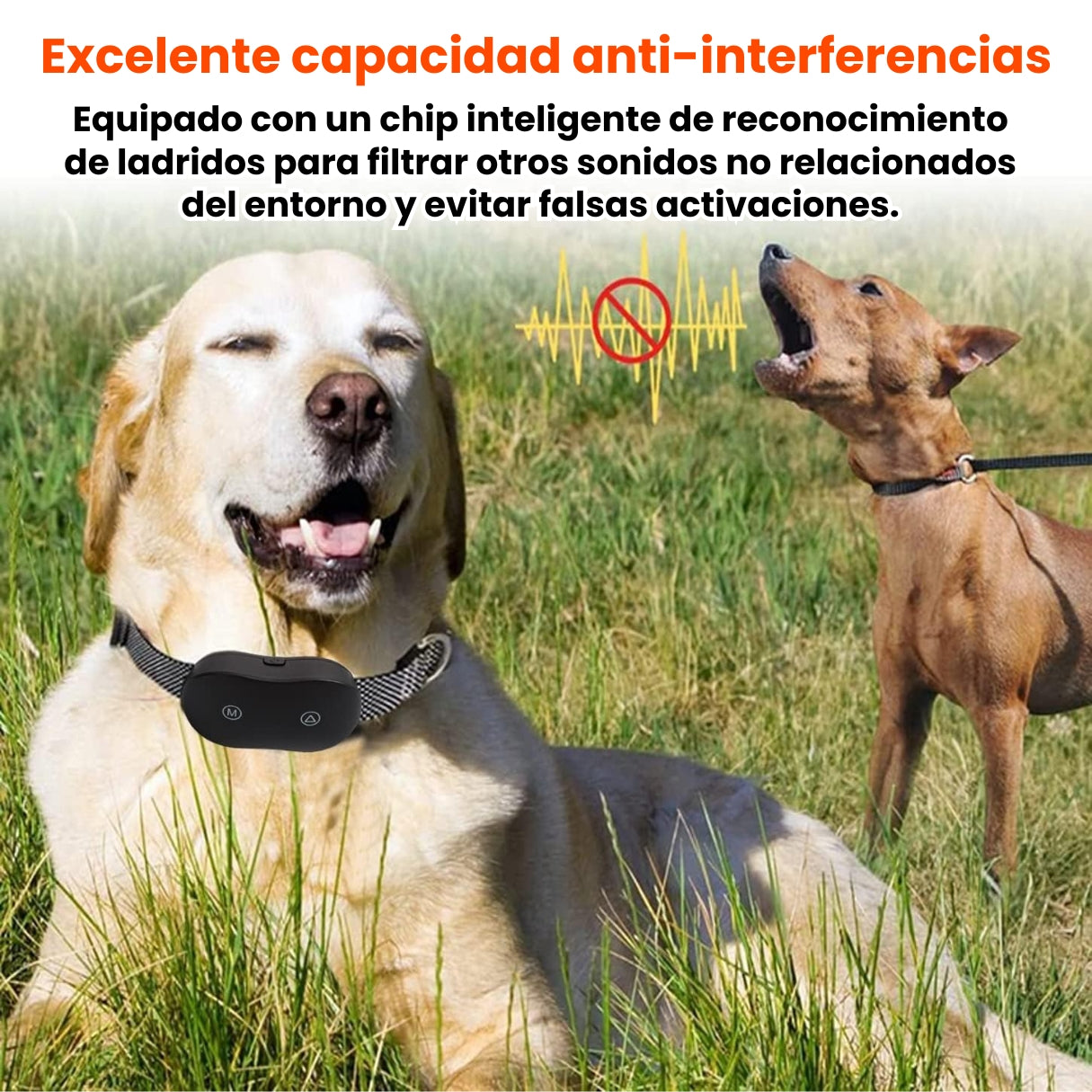 Collar De Entrenamiento Antiladridos Para Perros Inteligente
