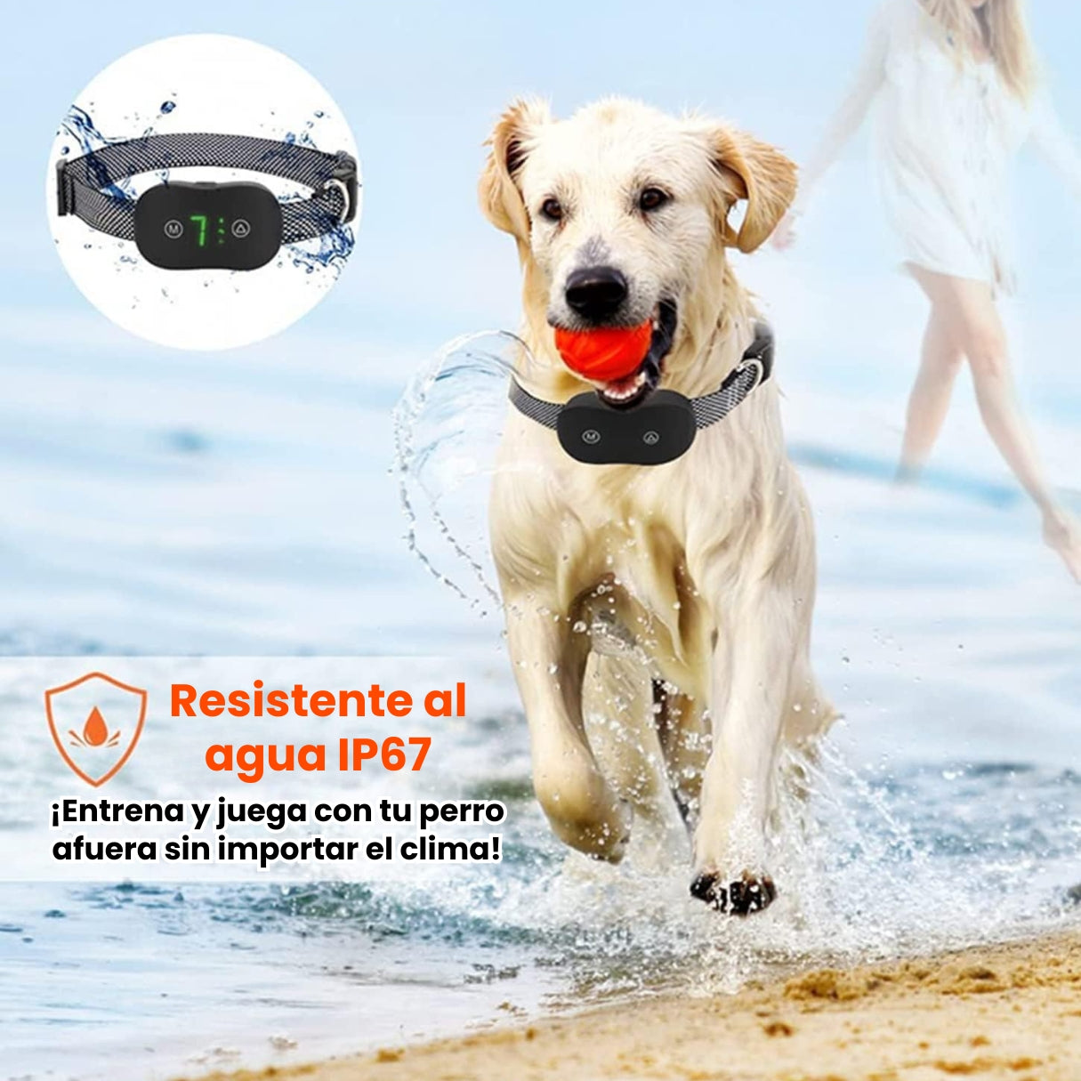 Collar De Entrenamiento Antiladridos Para Perros Inteligente