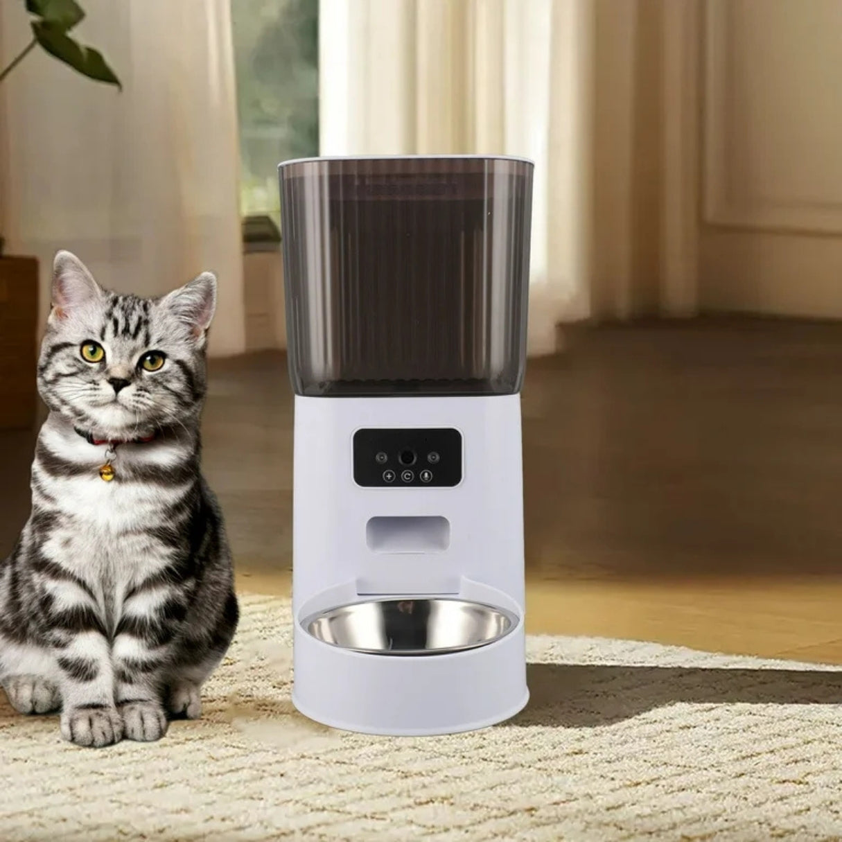 Dispensador Automatico Para Mascotas Perros y Gatos