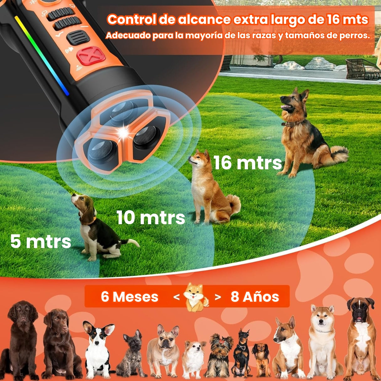 Entrenador Y Ahuyentador Ultrasónico Dispositivo De Perros