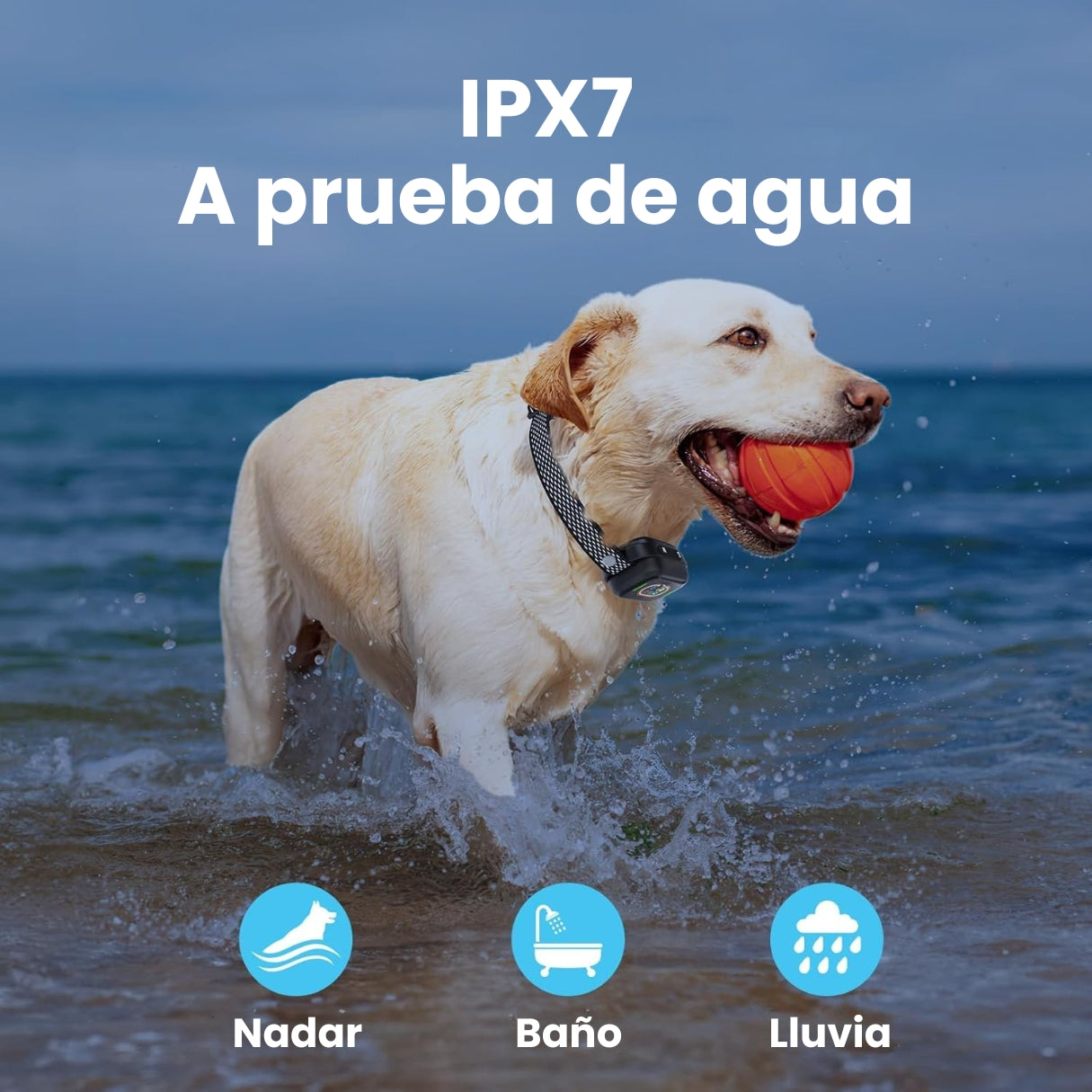 Collar Anti Ladridos Inteligente De Entrenamiento para Perros