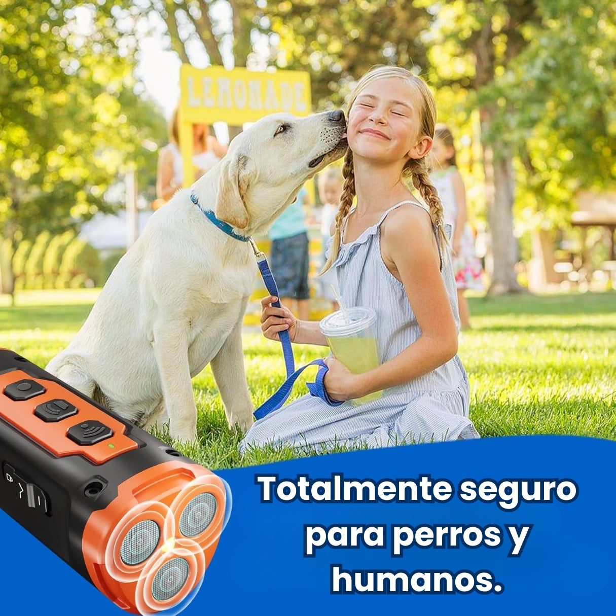 Dispositivo Ultrasónico Ahuyentador Y Entrenador De Perros