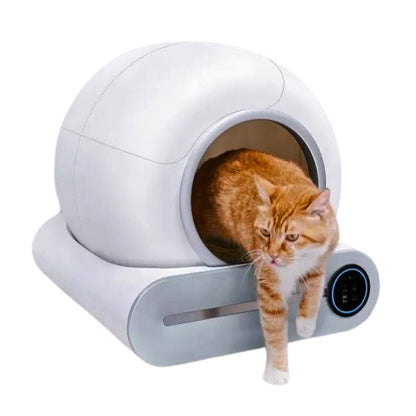 Arenero Automático Para Gatos Control con Aplicación