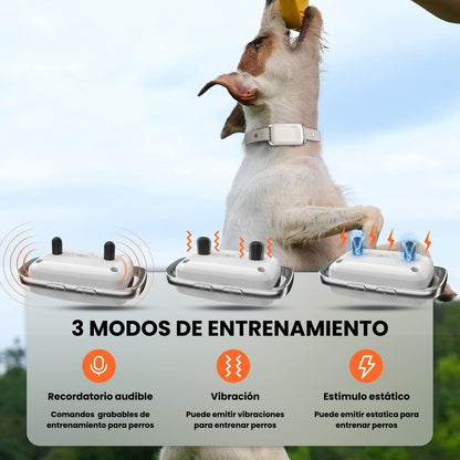 Collar Entrenamiento Antiladrido Para Perros Con Control Chip