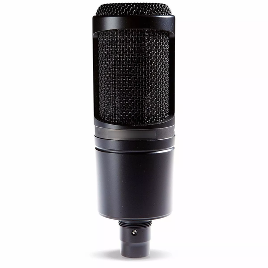 Micrófono Condensador Audio-technica At2020 Color Negro