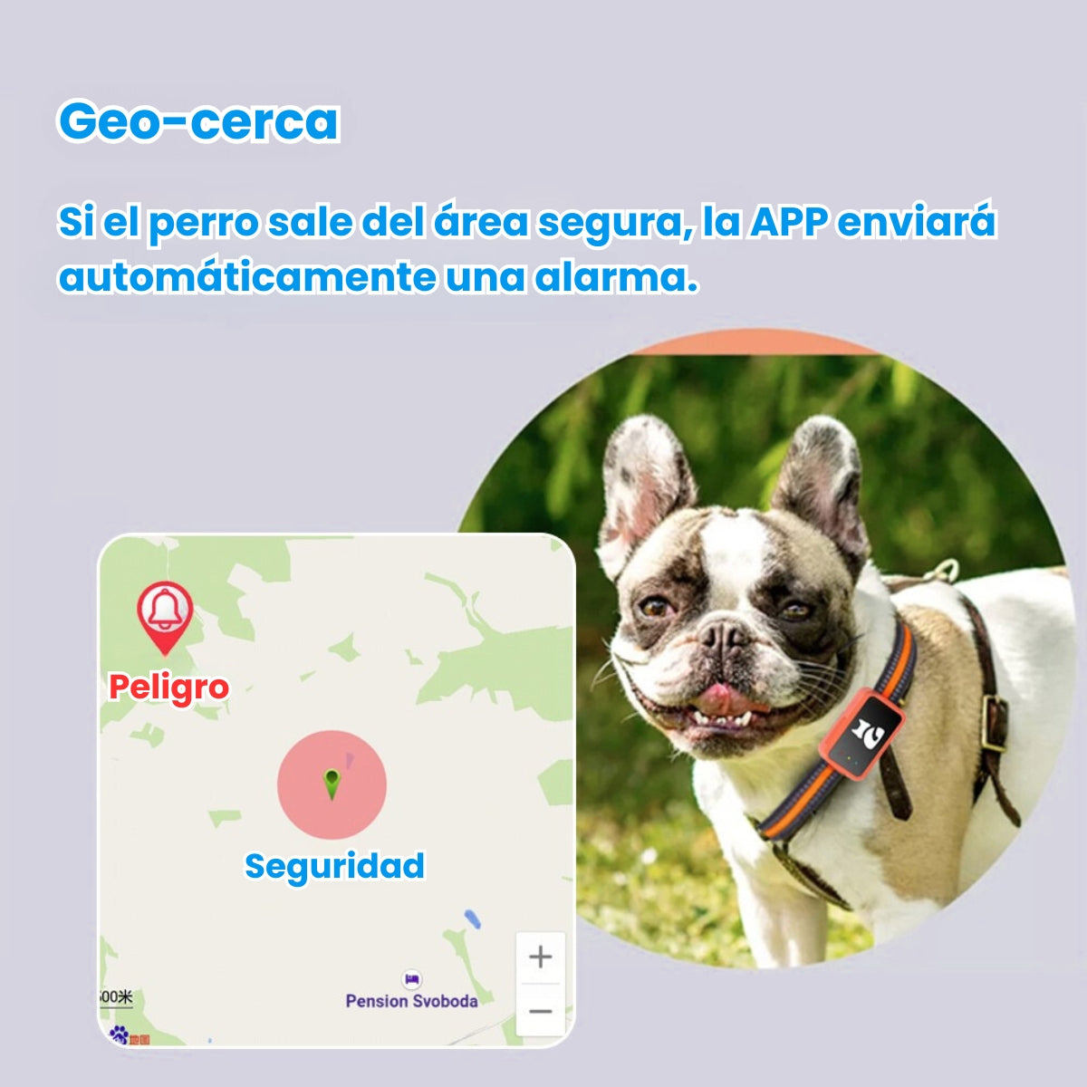 Collar Rastreador Gps Para Mascotas Integrado Perros Y Gatos