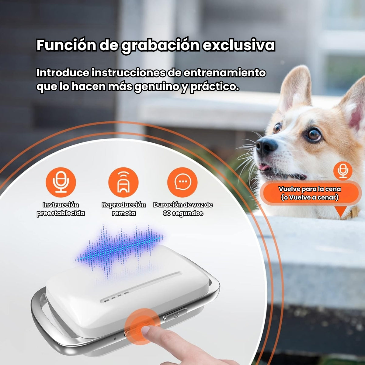 Collar Entrenamiento Antiladrido Para Perros Con Control Chip