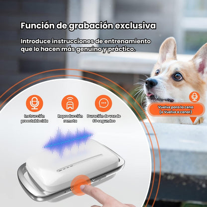 Collar Entrenamiento Antiladrido Para Perros Con Control Chip