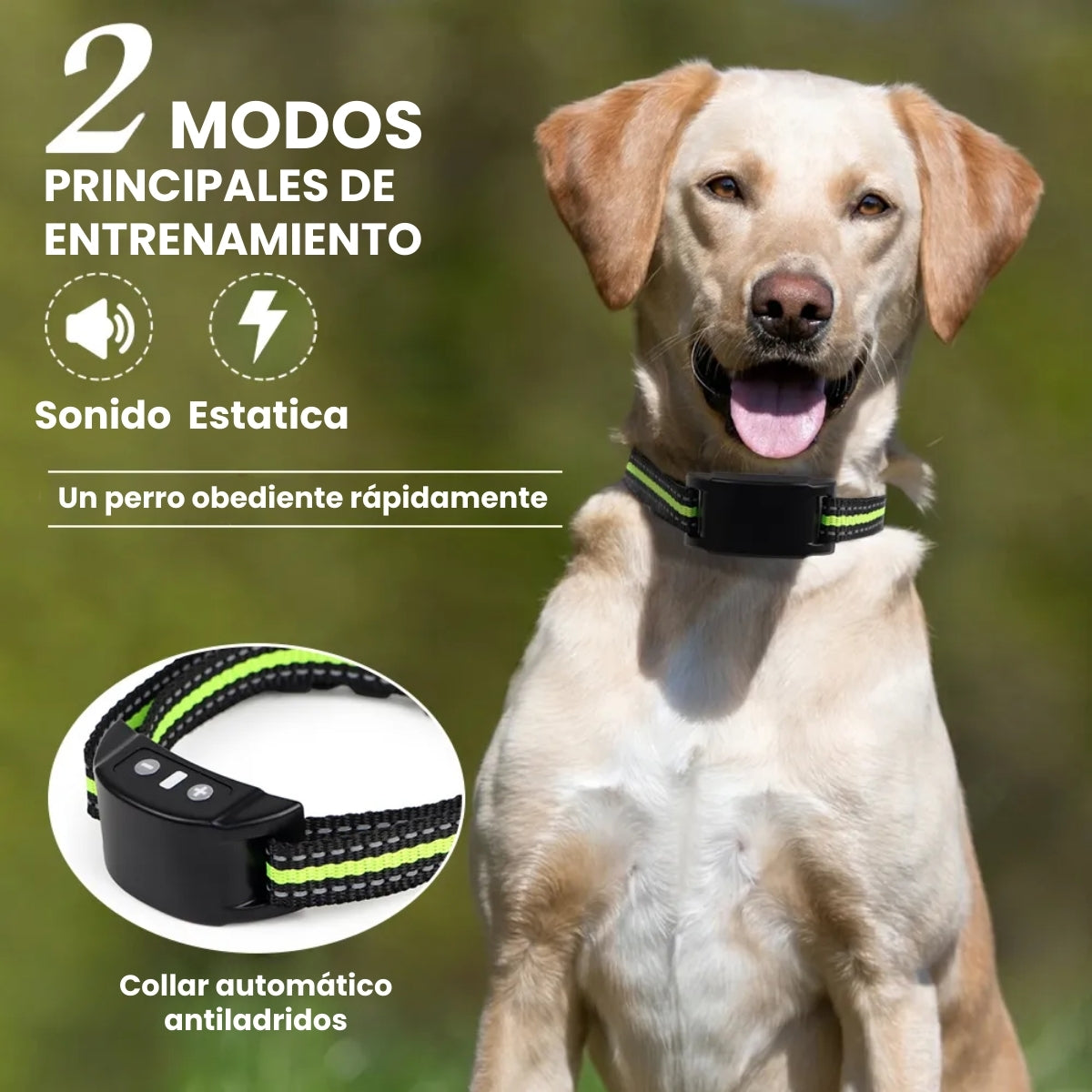 Collar Anti Ladridos Inteligente De Entrenamiento para Perros