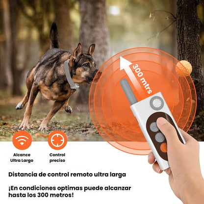Collar Entrenamiento Antiladrido Para Perros Con Control Chip