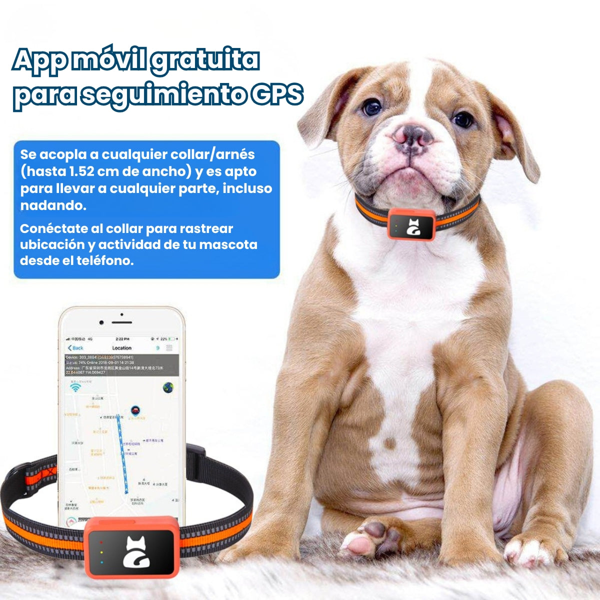 Collar Rastreador Gps Para Mascotas Integrado Perros Y Gatos