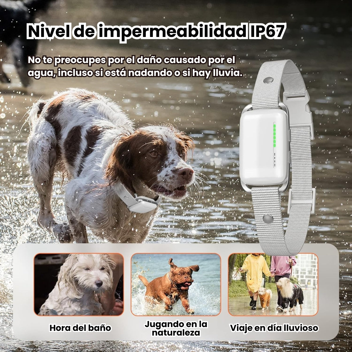 Collar Entrenamiento Antiladrido Para Perros Con Control Chip