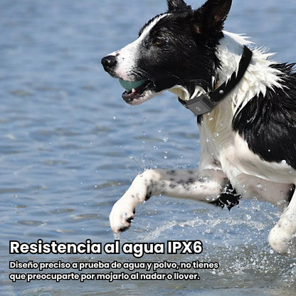 Collar Localizador GPS De Mascotas Perros Y Gatos Ajustable