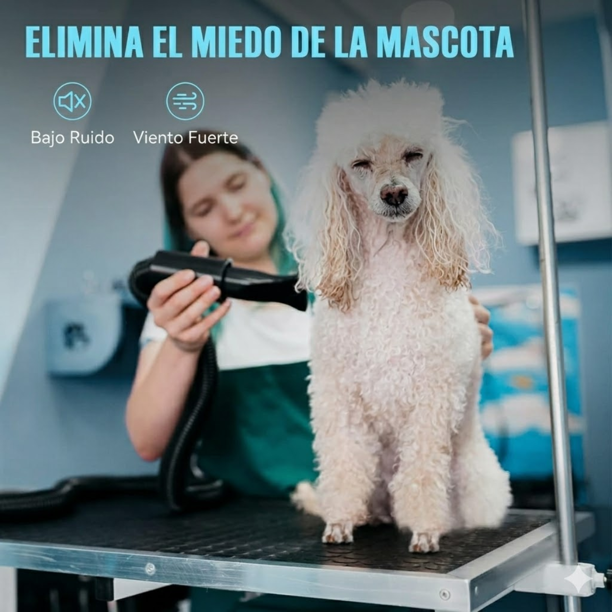 Secador De Pelo Multiusos Profesional Para Mascotas Potente
