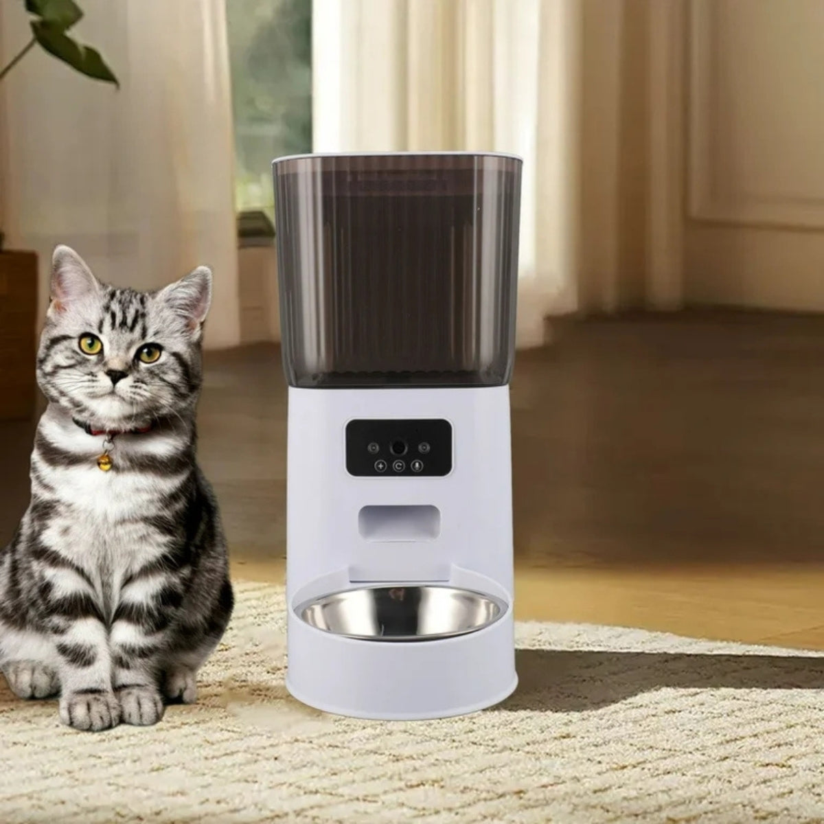 Comedero Alimentador Dispensador Automático Comida Mascotas