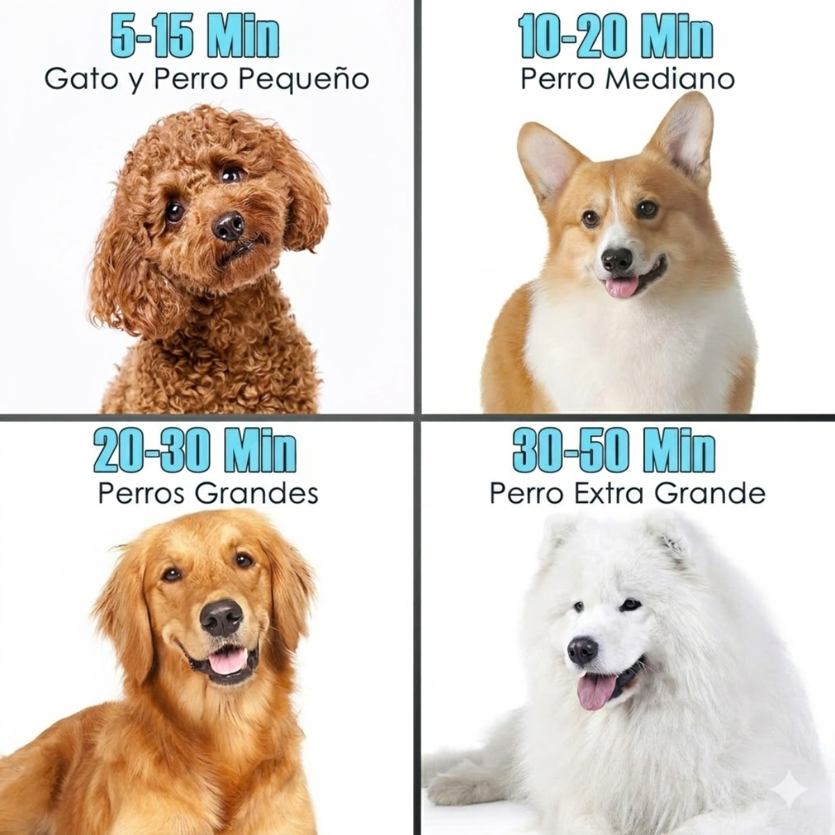 Secador De Pelo Multiusos Profesional Para Mascotas Potente