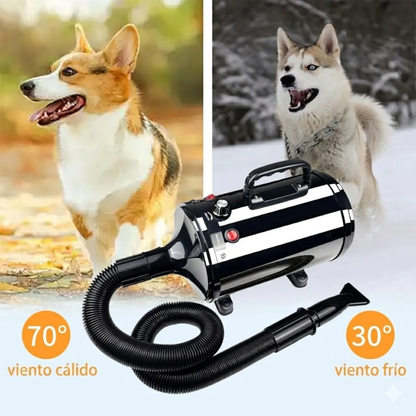 Secador De Pelo Multiusos Profesional Para Mascotas Potente